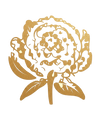 Button Rose